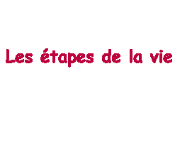 Les &eacute;tapes de la vie