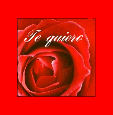 Je t'aime
